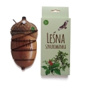 Leśna sznurowanka gra