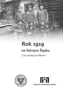 Rok 1919 na Górnym Śląsku. Czas eskalacji konfliktów