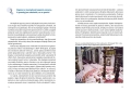 13361-2.jpg