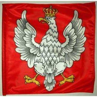 flaga_Polska.jpg