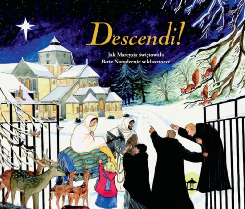 descendi1.jpg