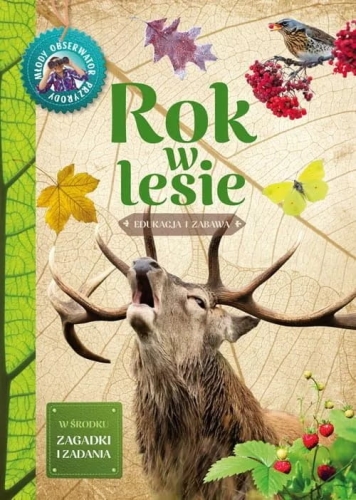 Rok w lesie1.jpg