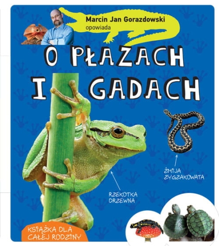 Gorazdowski o plazach.jpg