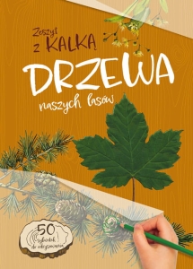 Andżelika Bielańska - Drzewa naszych lasów. Zeszyt z kalką