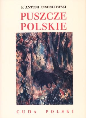 Antoni F. Ossendowski - Puszcze polskie